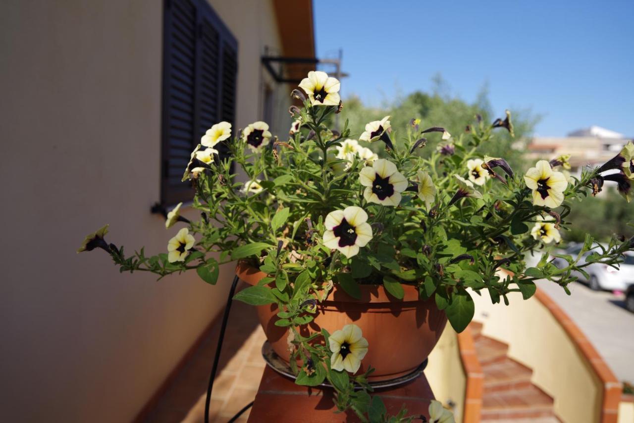 Balconcino Sugli Ulivi Bed and Breakfast Νότο Εξωτερικό φωτογραφία